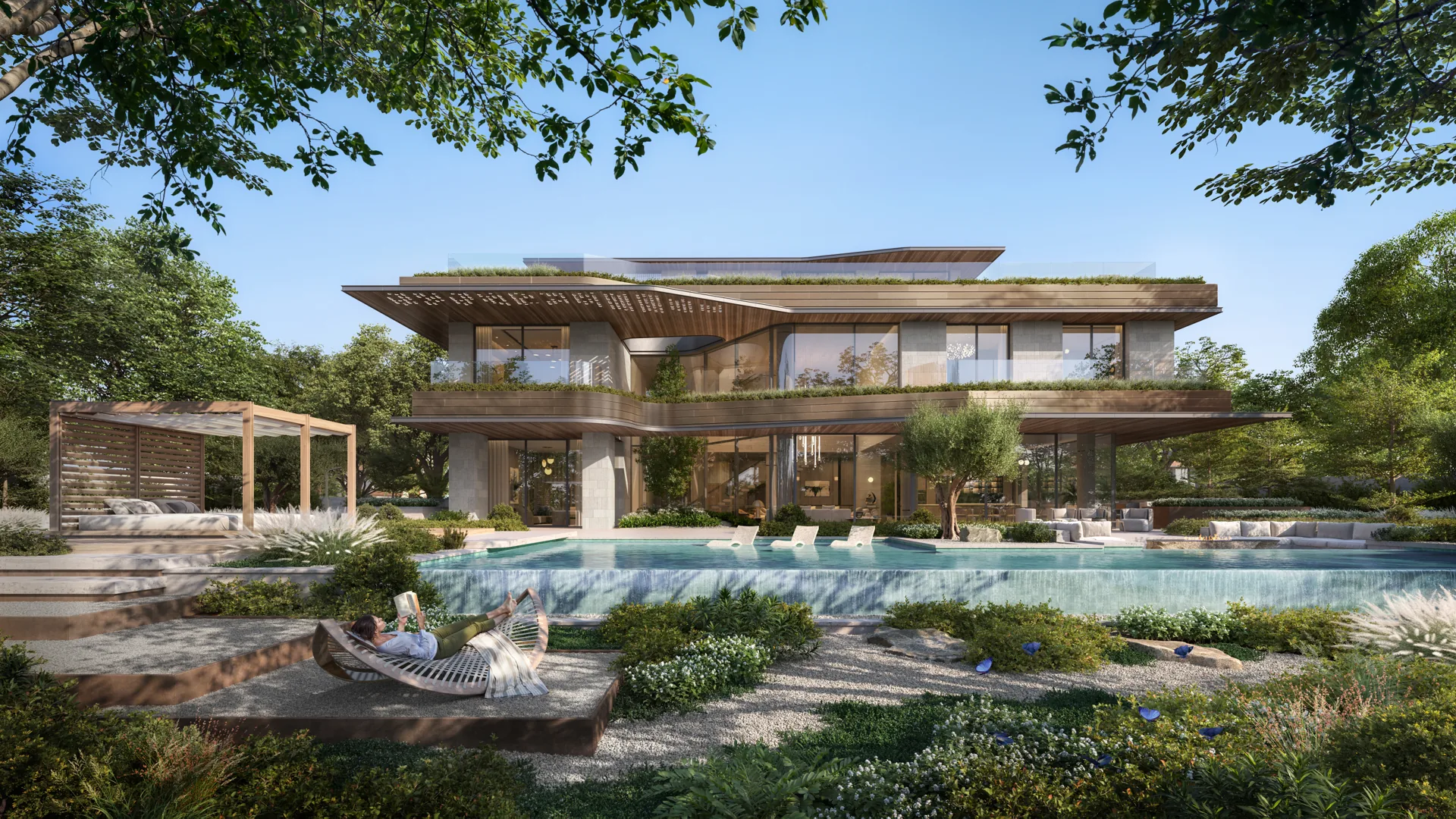 The Wilds moringa — architectural illustration